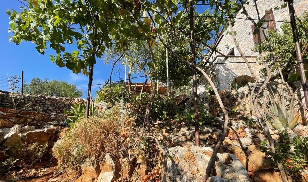 Find Your Peace In A Traditional Country House!! Láyia Esterno foto